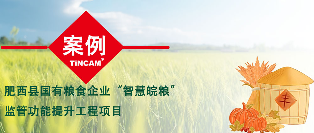案例.jpg