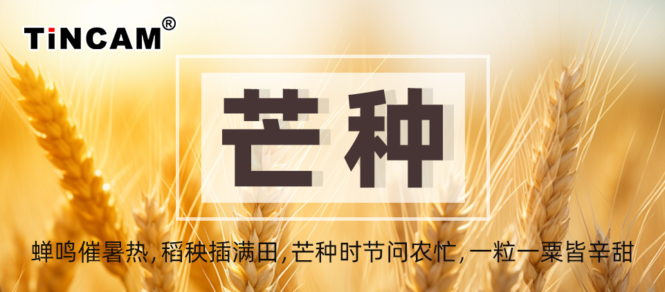 芒种.jpg 芒种.jpg