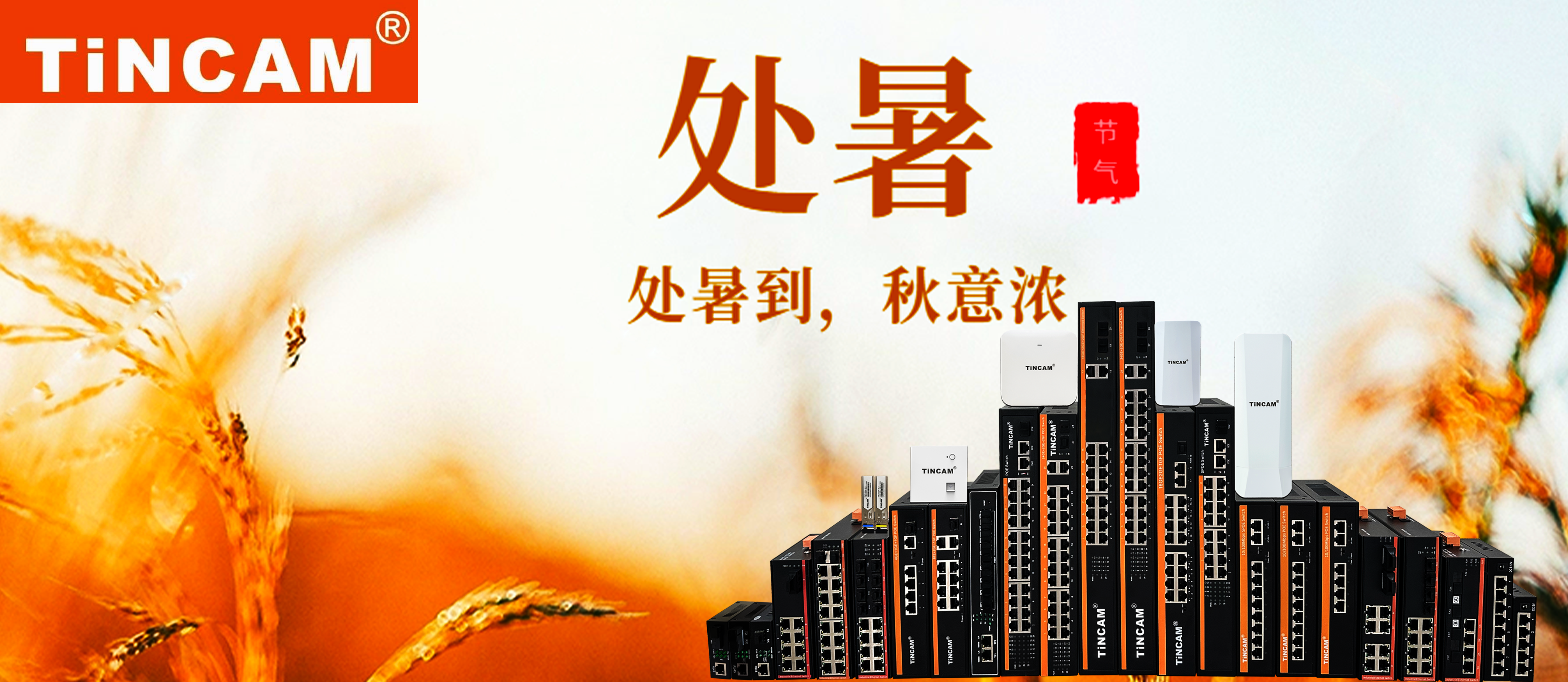 处暑至，秋意浓，天博通信守护每一份 “连接” 的温暖
